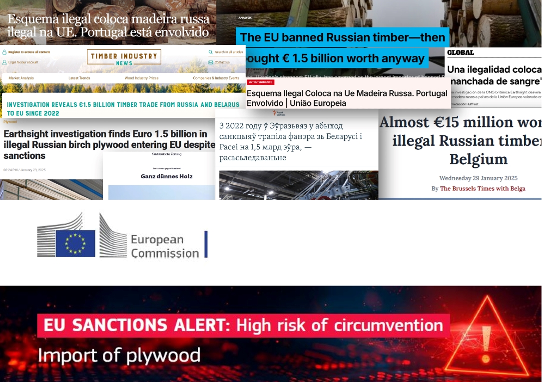 Conséquences et réactions de l’UE sur les importations du contreplaqué de bouleau de Russie.