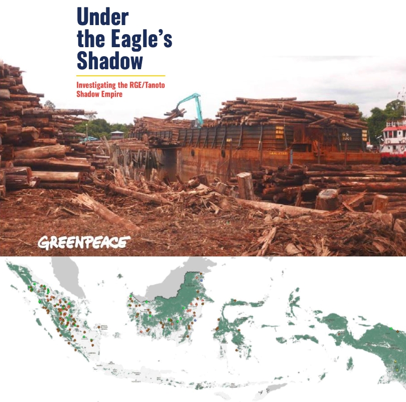 Enquête sur un important groupe indonésien exploitant de ressources (Greenpeace International).