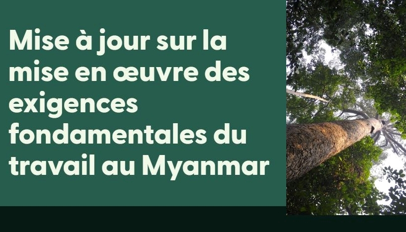 Droit du travail non respecté au Myanmar : conséquences appliquées par FSC.