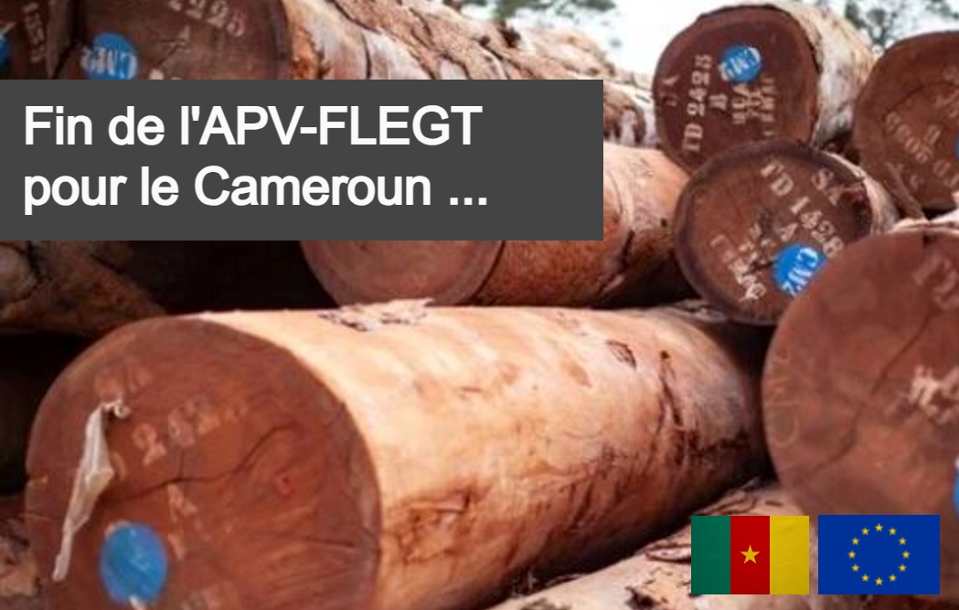 Fin de l’APV-FLEGT pour le Cameroun.