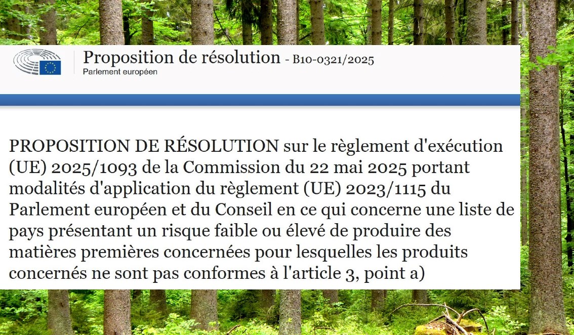 RDUE : une motion de résolution programmée au vote le 09 juillet.