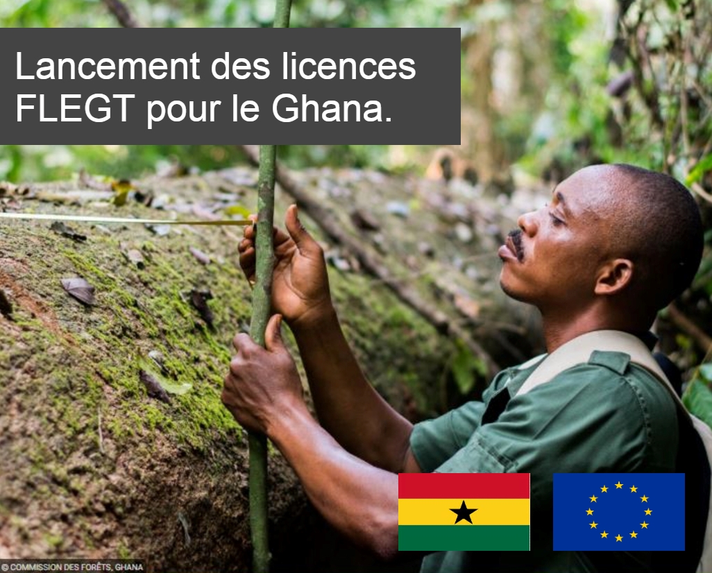 Lancement des licences FLEGT pour le Ghana.