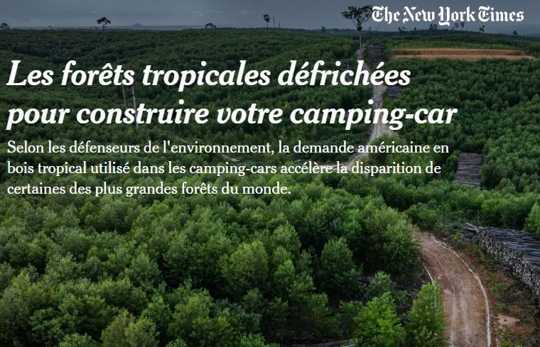 Cas du Méranti de Bornéo issu d’une déforestation et utilisé par des entreprises aux Etats-Unis.
