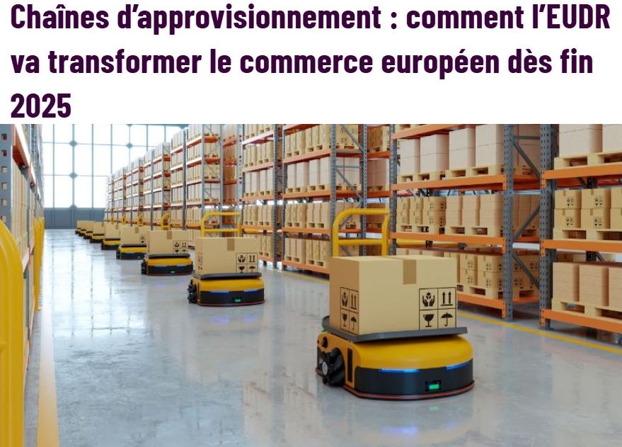 RDUE : autant une opportunité qu’une contrainte pour l’Europe.