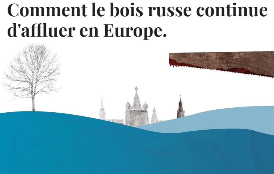 Le bouleau russe importé en Europe par la Georgie.