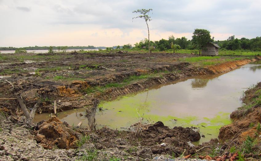 « Pousser les forêts vers l’effondrement menace le bien-être humain à l’échelle mondiale ».