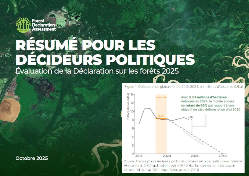 Quelle est la situation au regard de l’objectif mondial 2030 pour les forêts ?