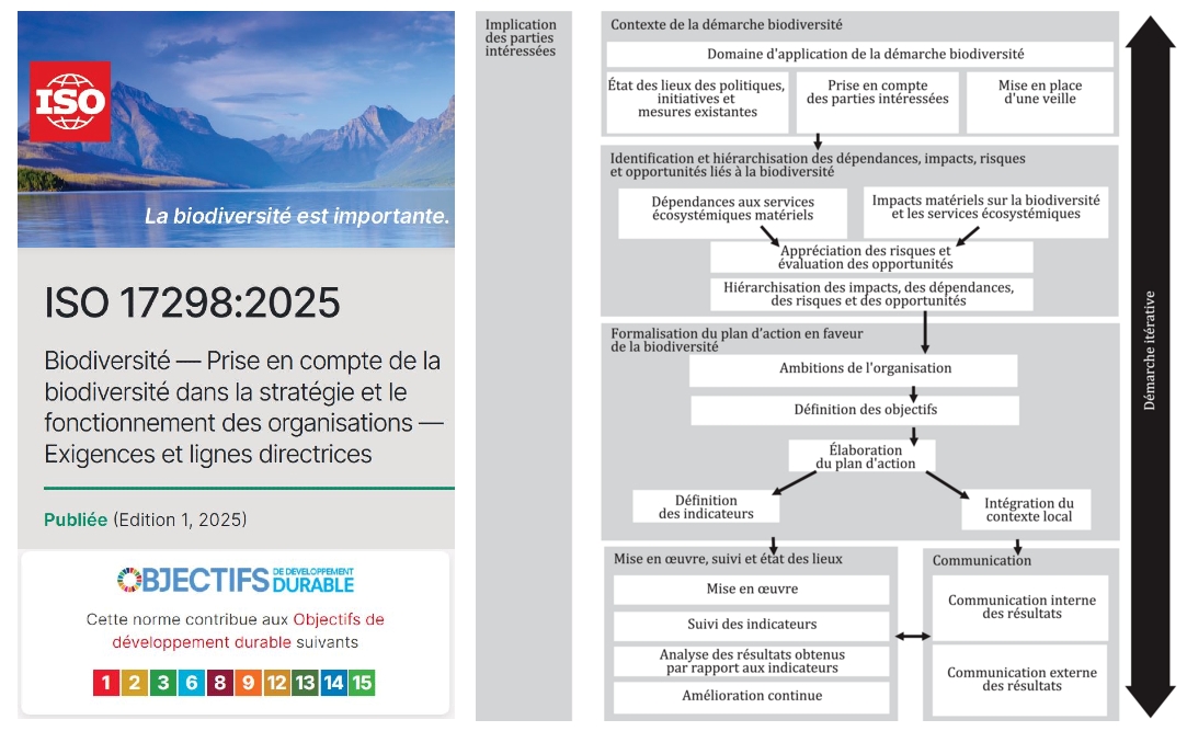 Norme ISO 17298:2025 : première norme sur la biodiversité.