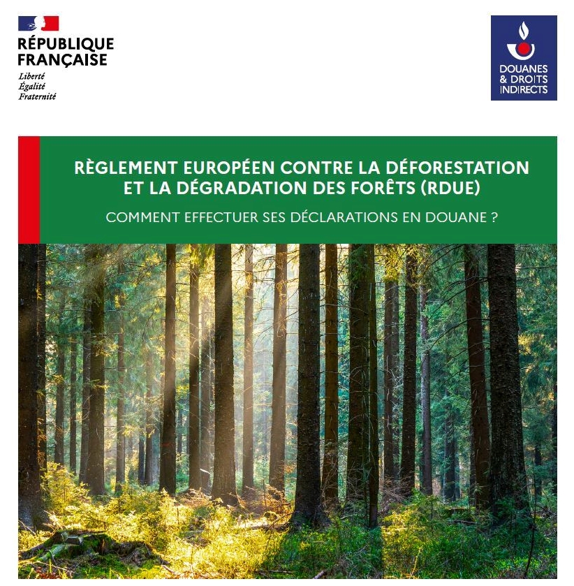 RDUE : comment réaliser sa déclaration en douane ?