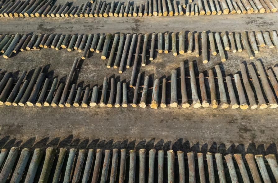 L’avenir du RDUE se joue au Parlement européen le 26/11/2025.