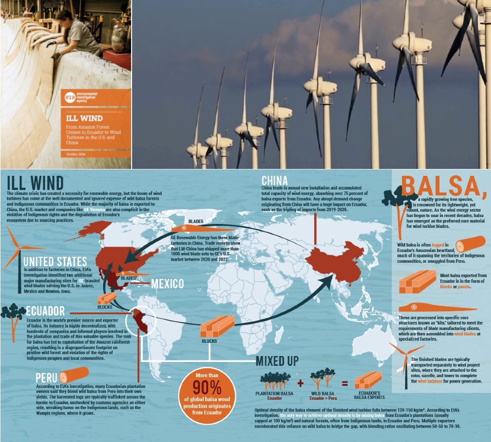 Utilisation du Balsa : un sourcing controversé en Equateur.