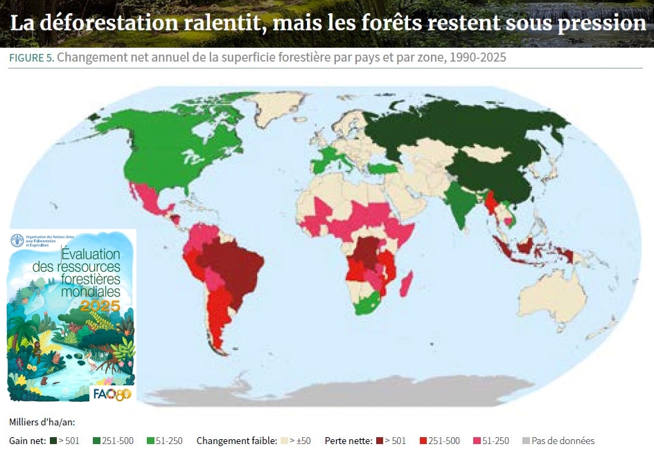 Publication de l’évaluation des ressources forestières mondiales 2025 (FAO).