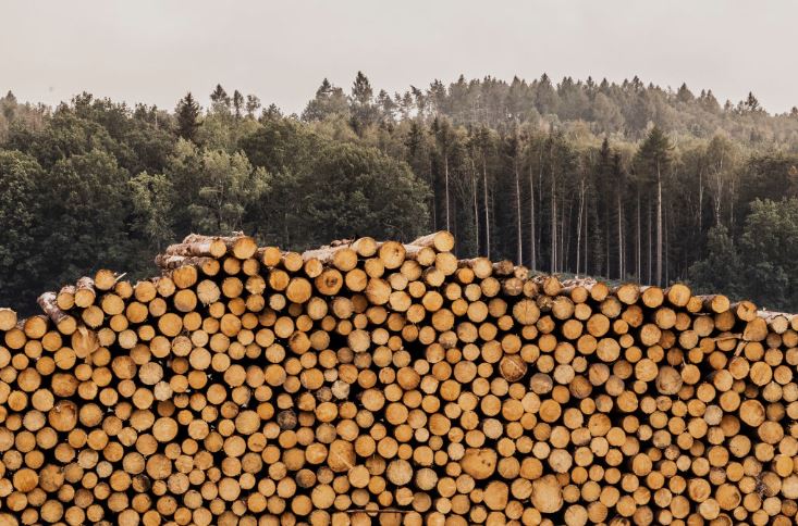 RDUE : les règles divisent les institutions de l’UE.