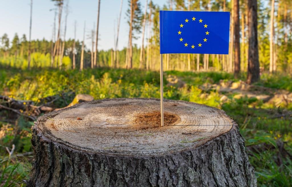 RDUE : dernières réactions de la filière bois sur la proposition de l’UE.