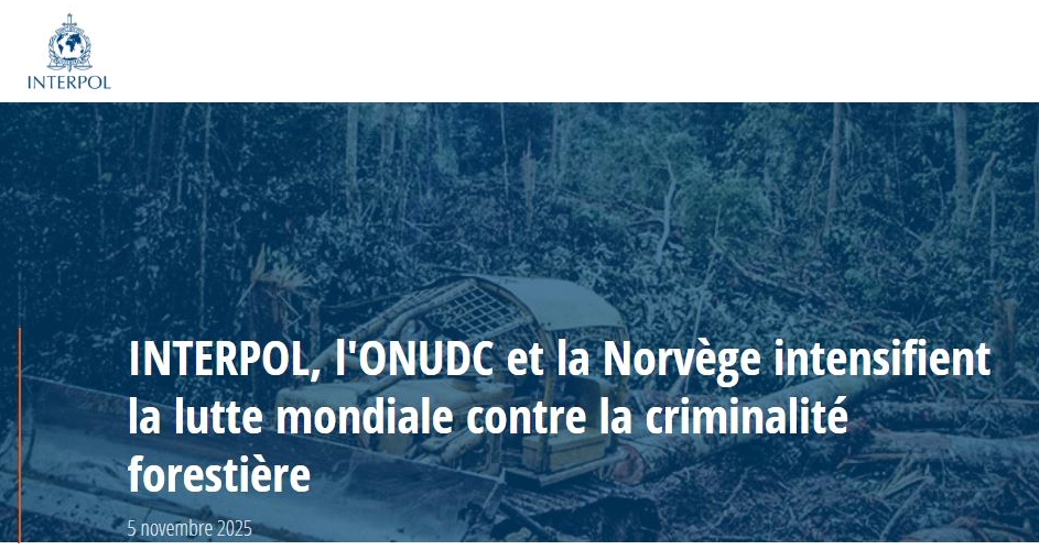 INTERPOL, l’ONUDC et la Norvège intensifient la lutte mondiale contre la criminalité forestière.