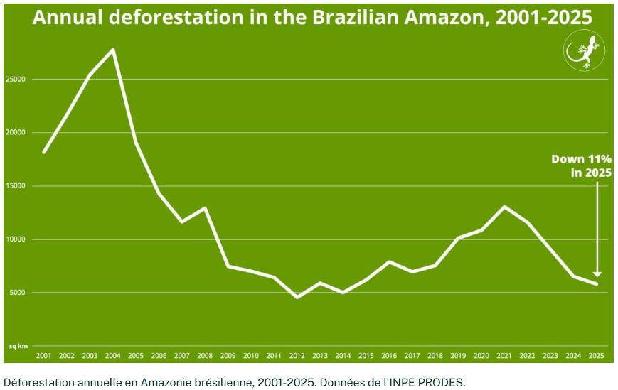 Climat et forêts : « L’effondrement est encore évitable ».
