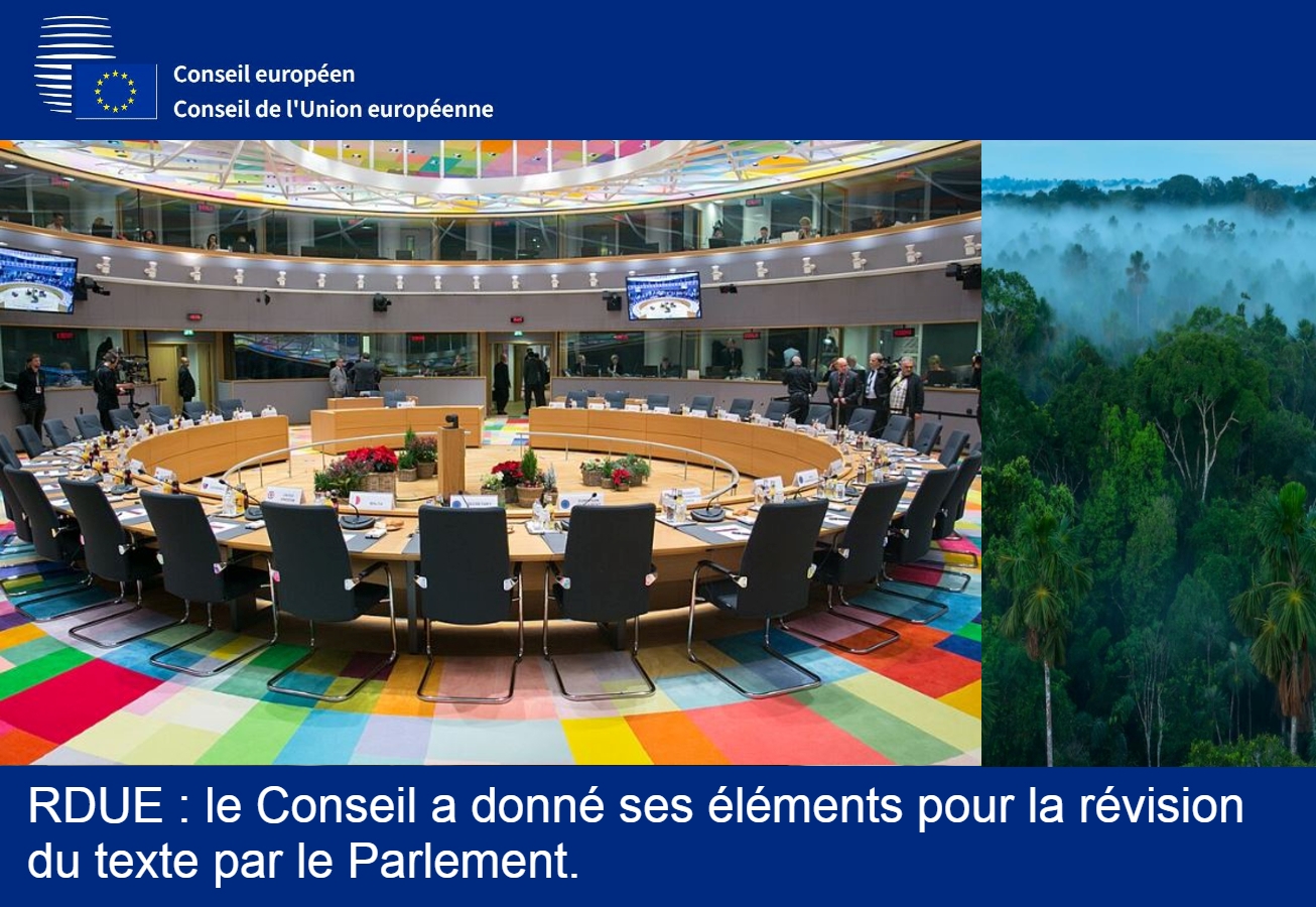 RDUE : dernières modifications du texte par le Conseil pour le Parlement.