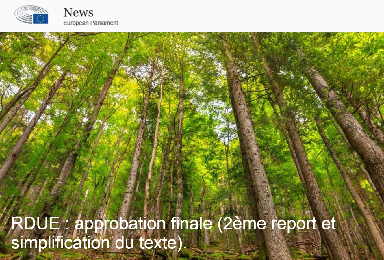 RDUE : adoption finale pour le report et la simplification des exigences.
