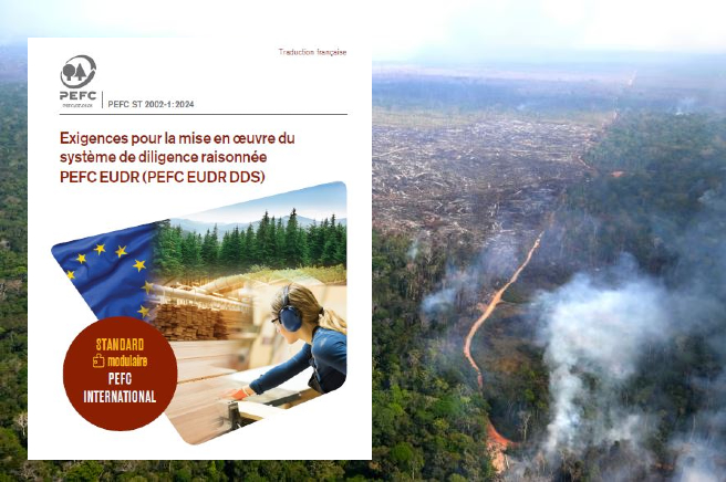 RDUE instable et préparation prévisible.