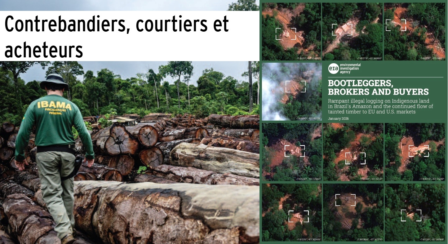 25 000 m3 de bois illégaux du Brésil vers les Etats-Unis et l&rsquo;Europe.