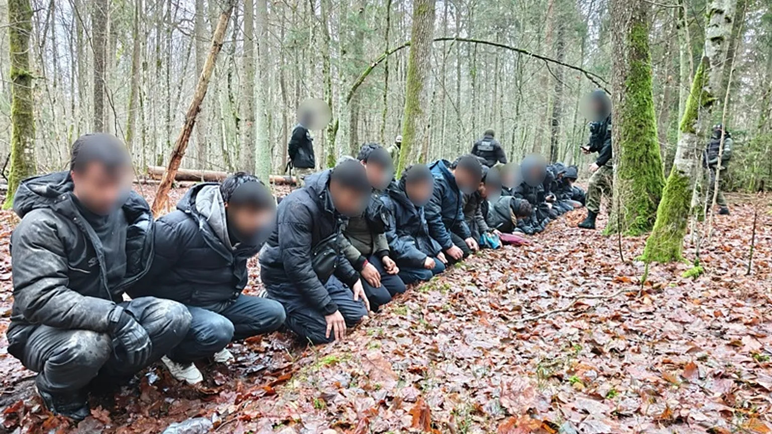 Un réseau d’importations illégales de bois démantelé en Pologne.