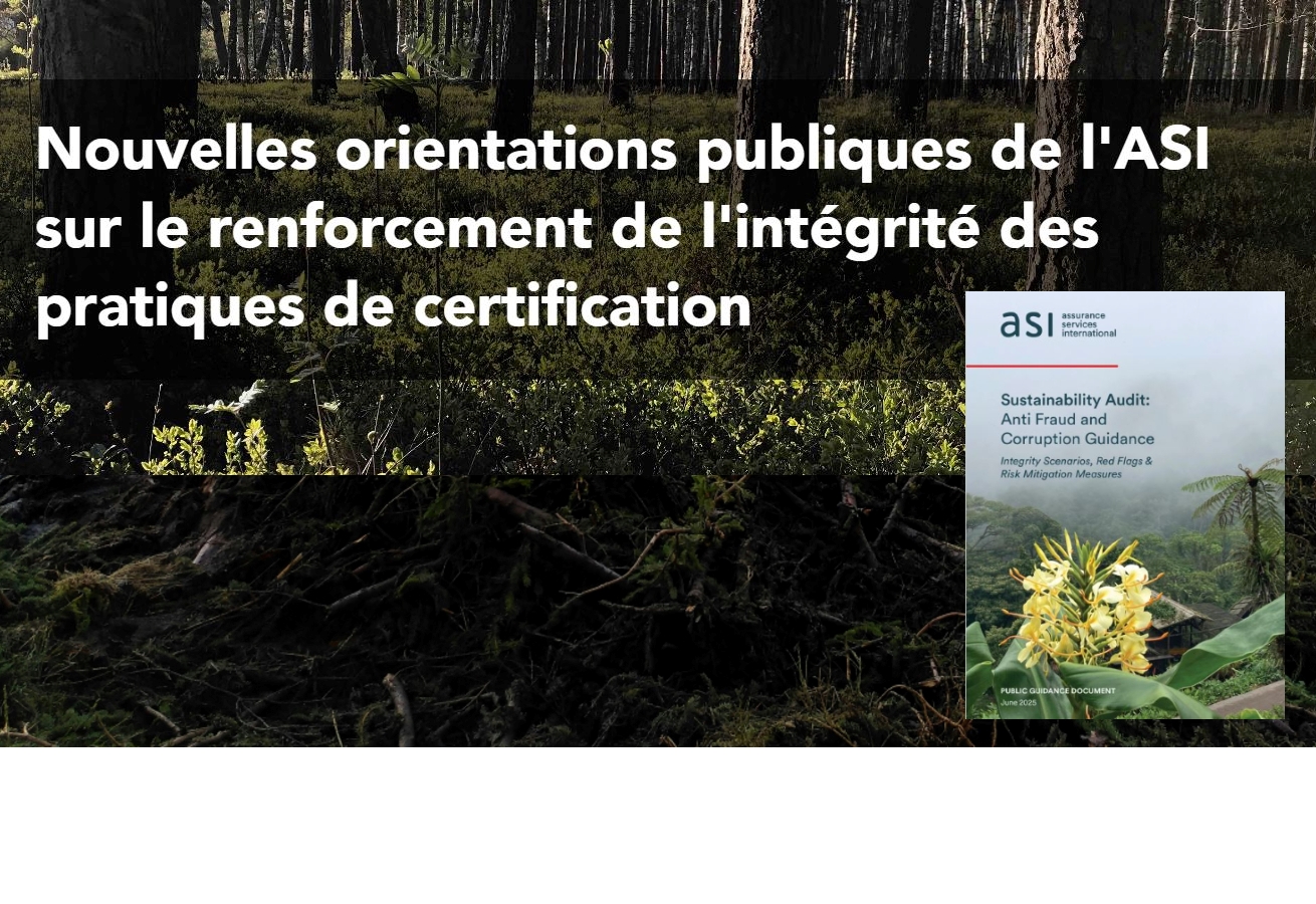 Guide en matière de lutte contre la fraude et la corruption en matière d&rsquo;audit (ASI).