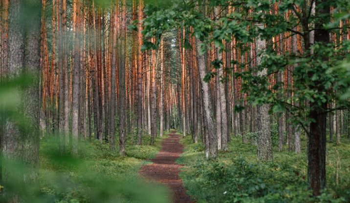 « La traçabilité constitue le socle de toute stratégie sérieuse. »