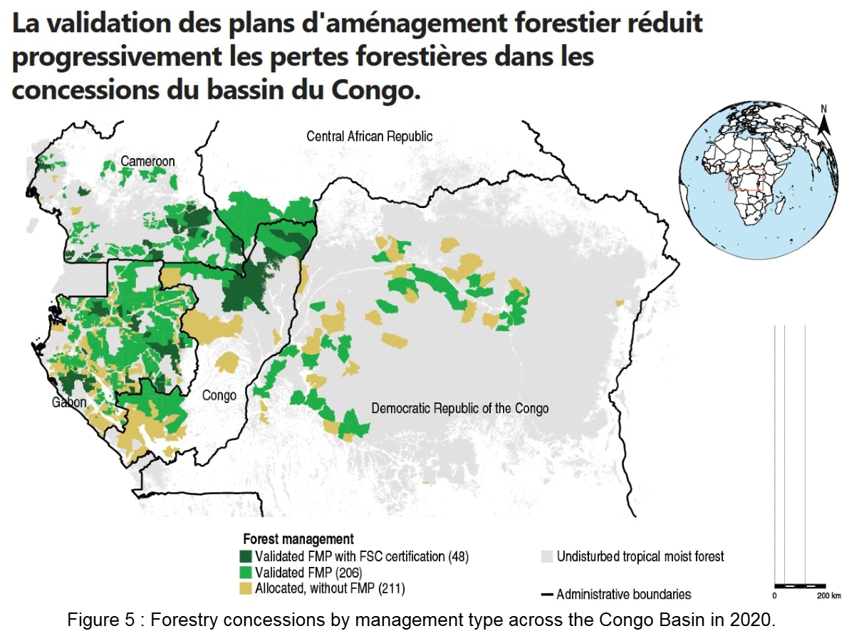 L&rsquo;aménagement forestier : un critère de choix pour l&rsquo;origine des produits bois du Bassin du Congo.