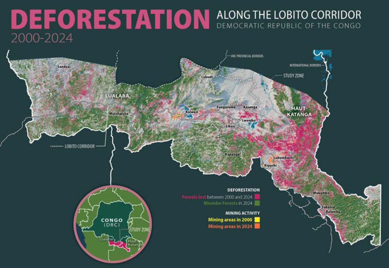 Publication d’une étude sur la déforestation en RDC due aux activités minières.