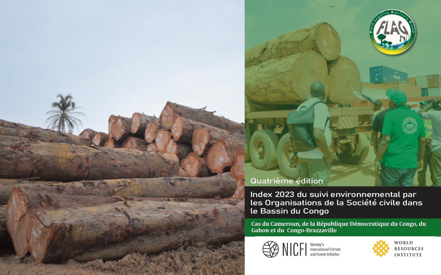 Filière bois Bassin du Congo : publication de l&rsquo;Index du suivi environnemental par les OSC.