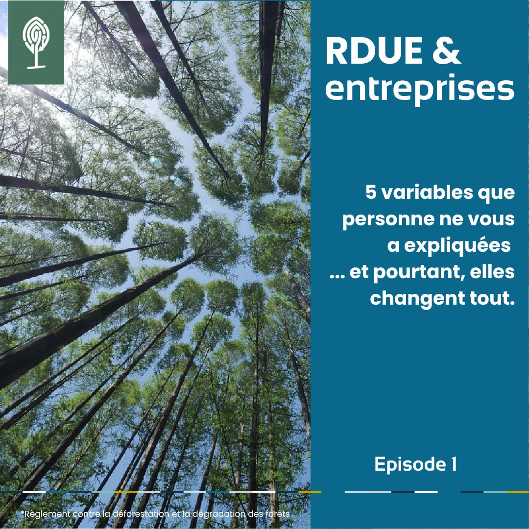 RDUE : 5 variables que personne ne vous a expliquées … et pourtant, elles changent tout.