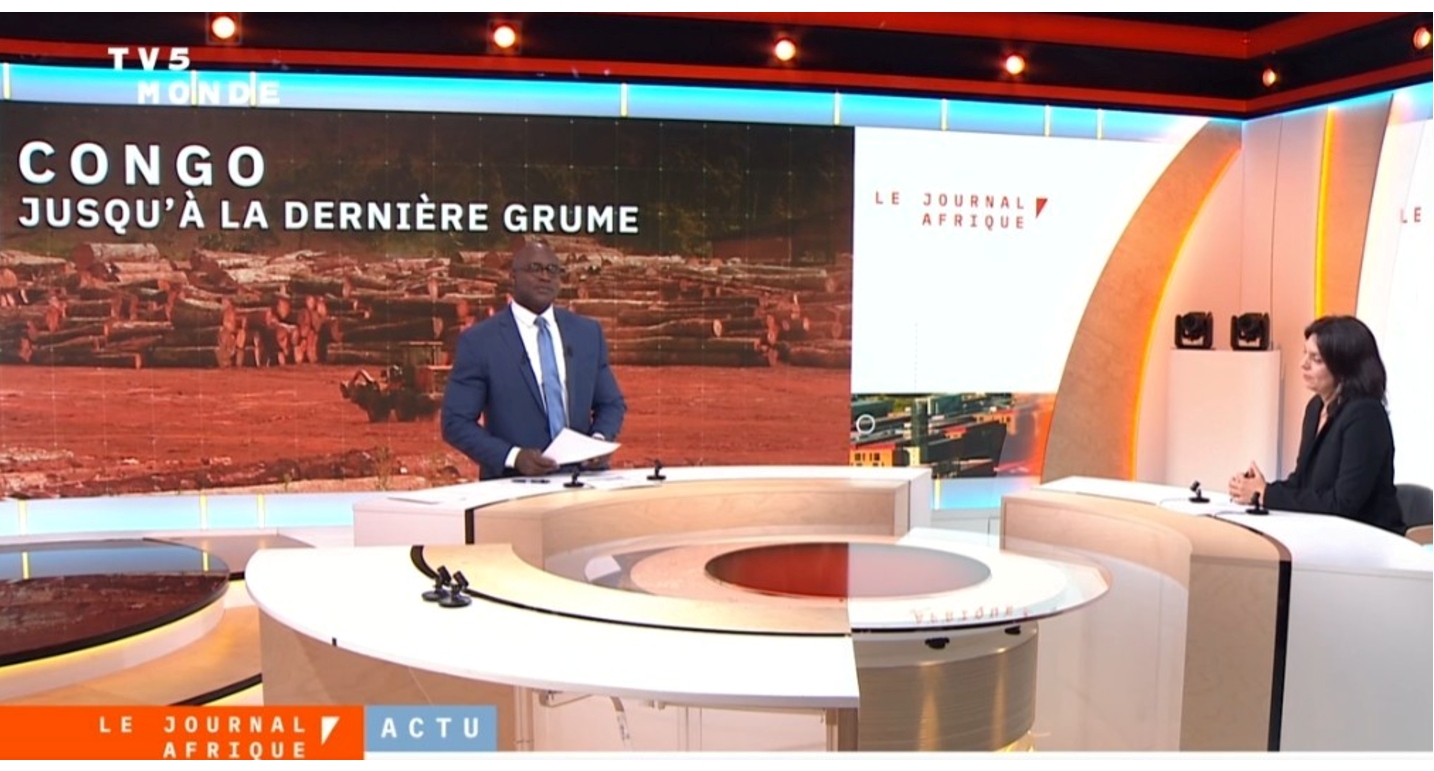 Enquête de TV5-Monde sur l&rsquo;exportation des grumes du Congo.