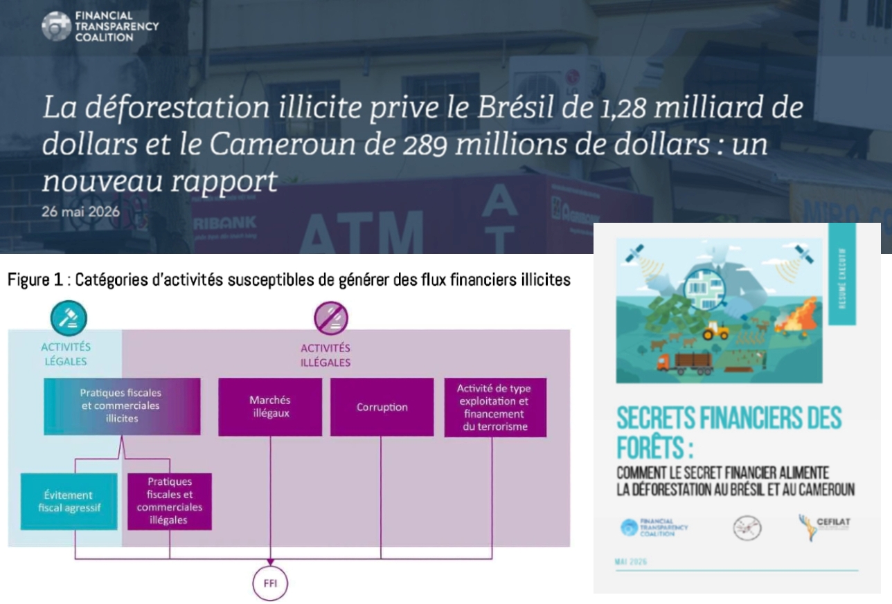 « Les secrets financiers des forêts : comment le secret financier alimente la déforestation au Brésil et au Cameroun » (rapport FTC). 