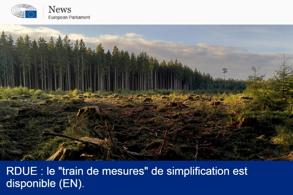 RDUE : publication des textes pour clarifier et aider son application.