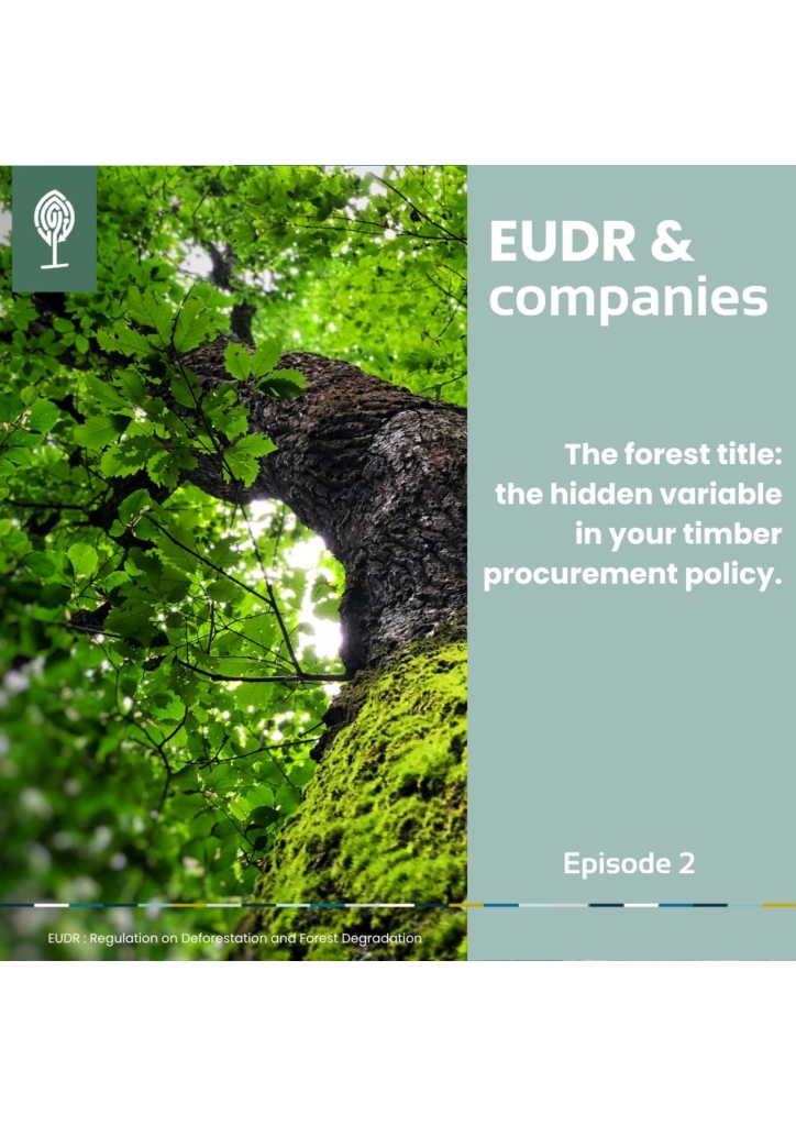 EUDR & Companies – Episode 2