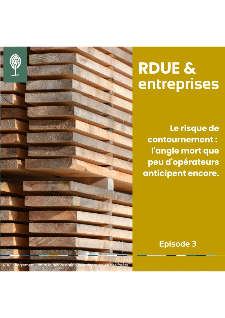 RDUE & Entreprises – Episode 3