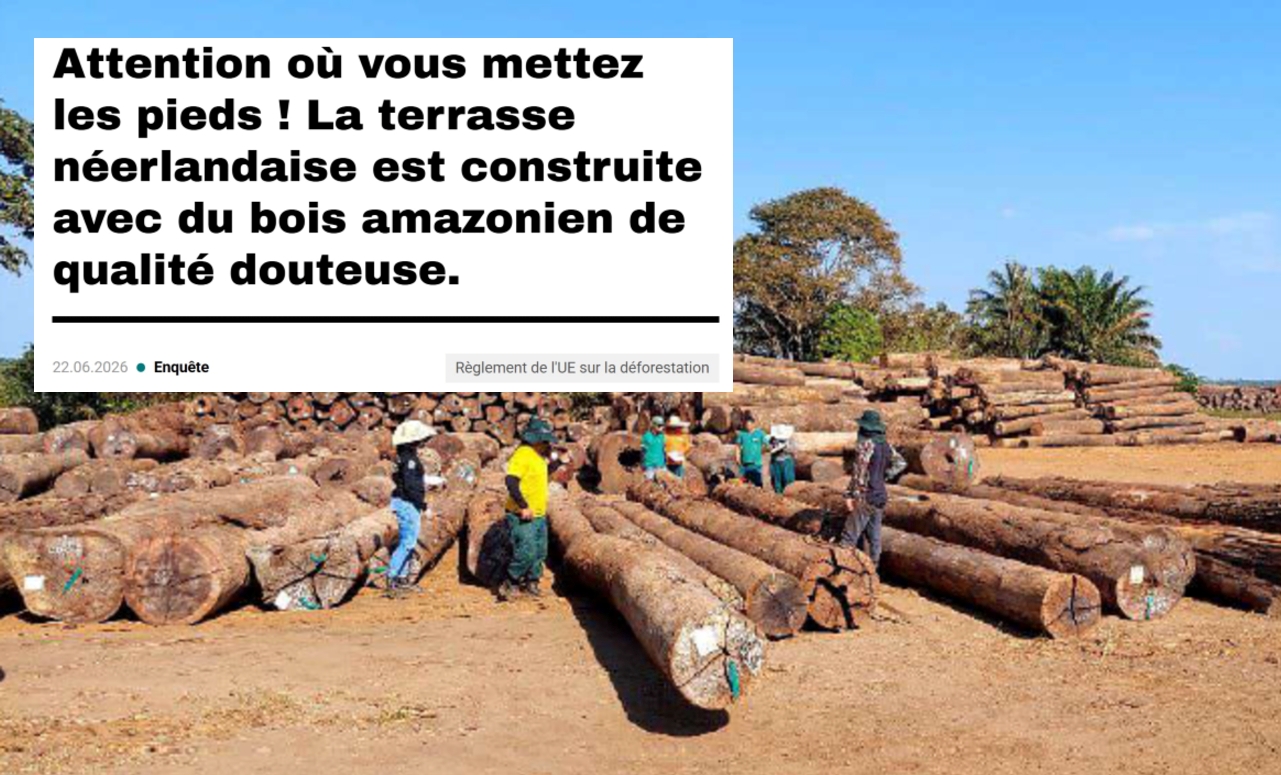 RDUE et FSC : exemple d&rsquo;un cas d&rsquo;importation en Hollande ciblé par EarthSight.