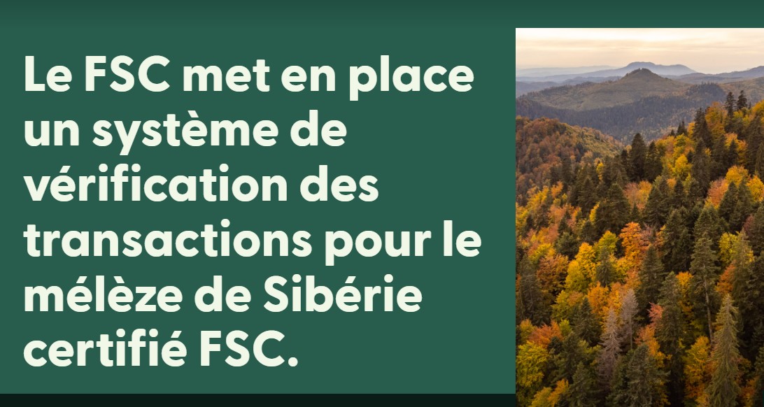 FSC lance une &lsquo;boucle de vérification&rsquo; (Transaction) sur le mélèze de Sibérie.