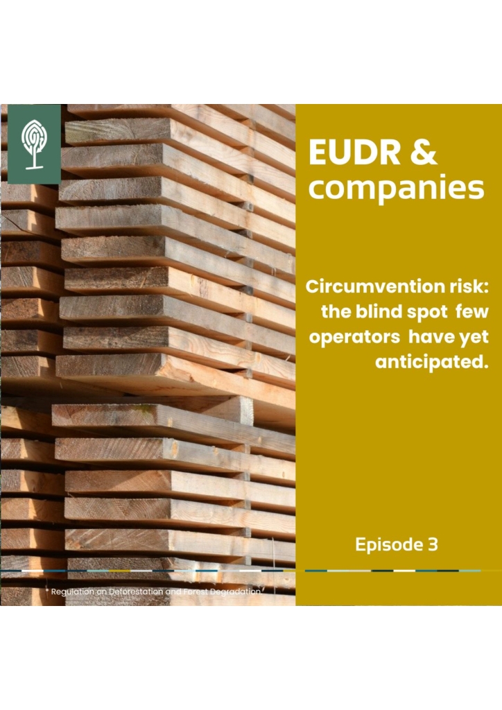 EUDR & Companies – Episode 3